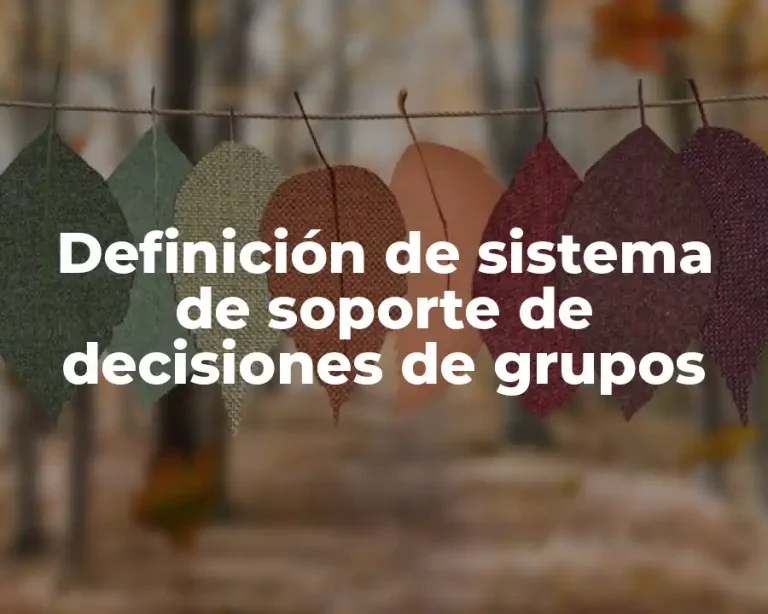 Definición de sistema de soporte de decisiones de grupos