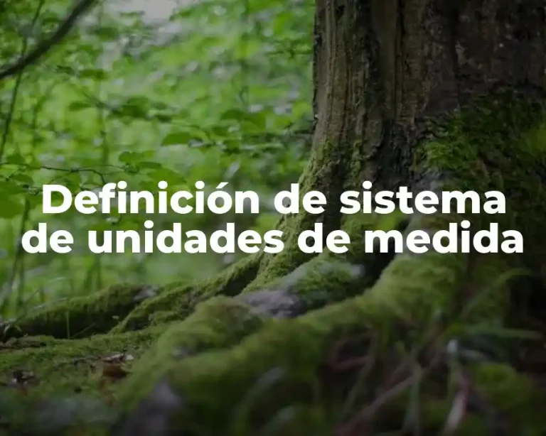 Definición de sistema de unidades de medida