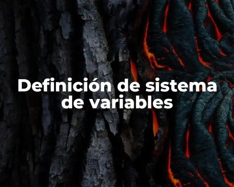 Definición de sistema de variables