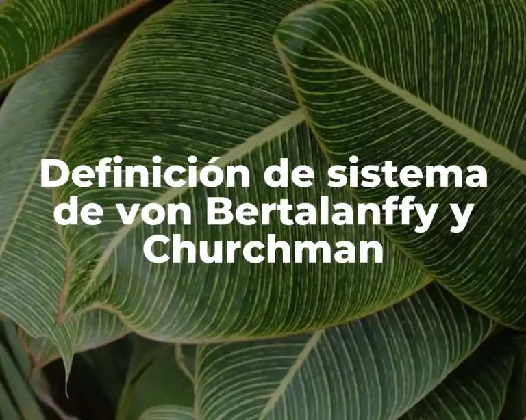 Definición de sistema de von Bertalanffy y Churchman