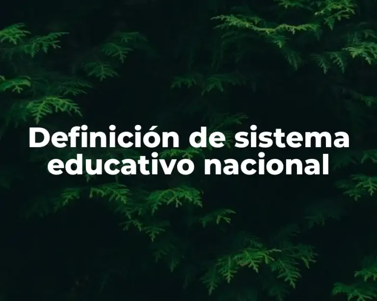 Definición de sistema educativo nacional