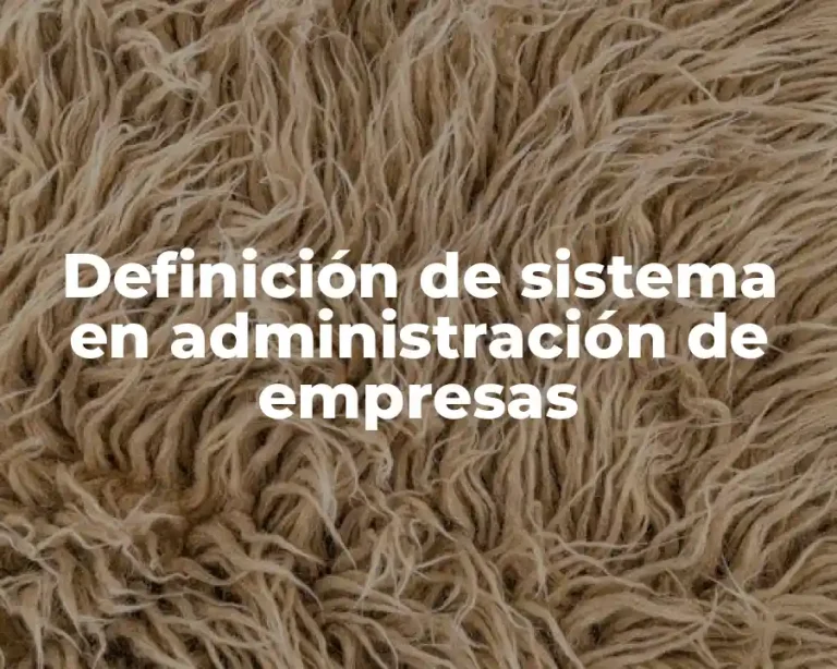 Definición de sistema en administración de empresas