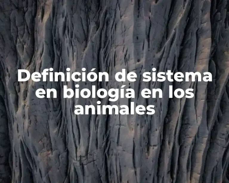Definición de sistema en biología en los animales