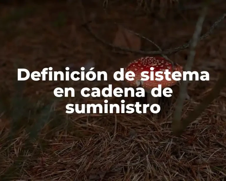 Definición de sistema en cadena de suministro