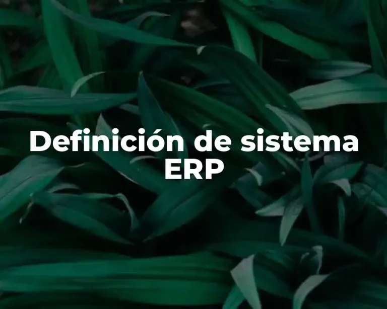 Definición de sistema ERP
