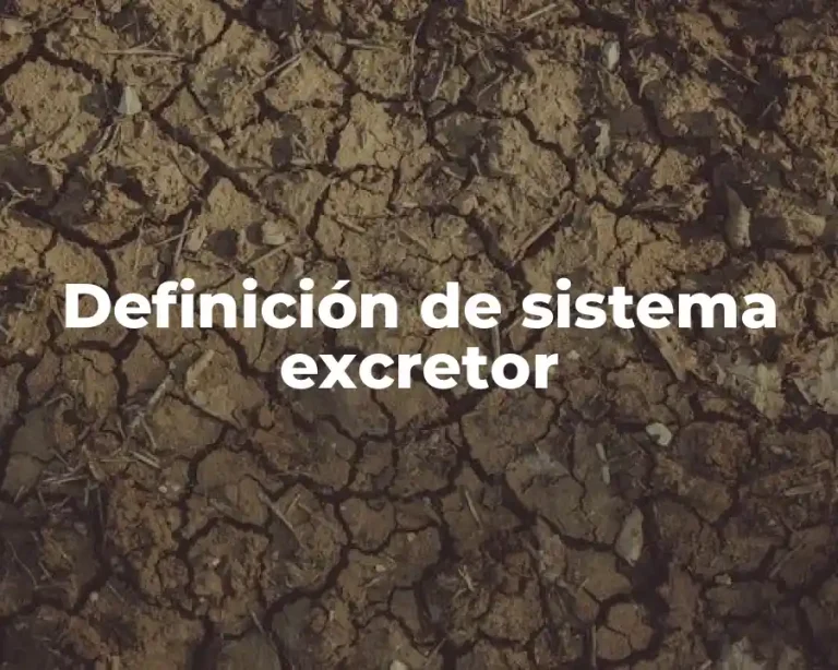 Definición de sistema excretor
