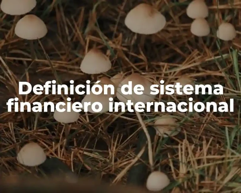 Definición de sistema financiero internacional