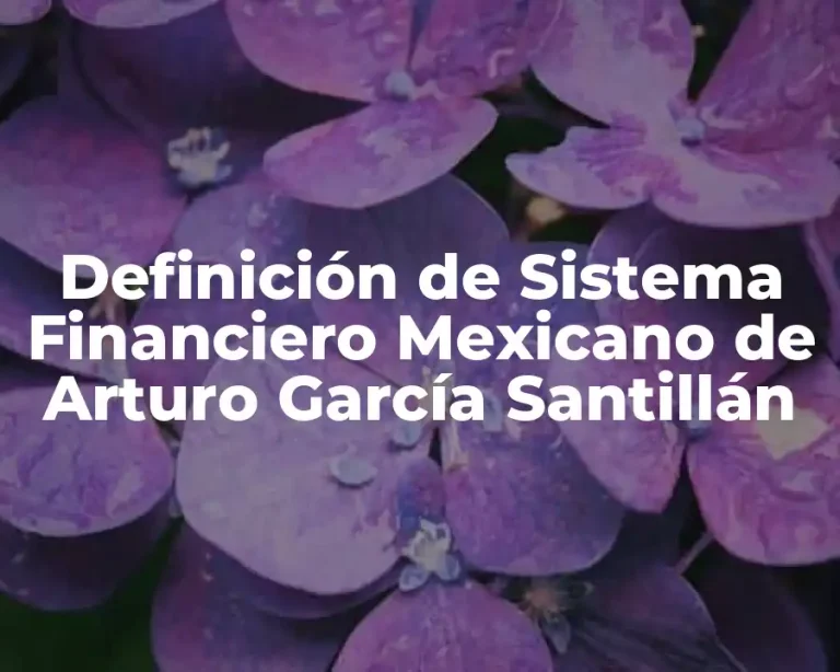 Definición de Sistema Financiero Mexicano de Arturo García Santillán