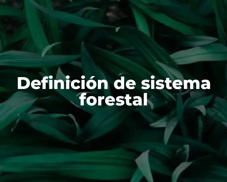 Definición de sistema forestal