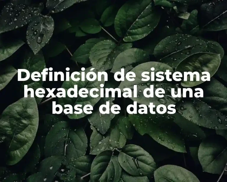 Definición de sistema hexadecimal de una base de datos