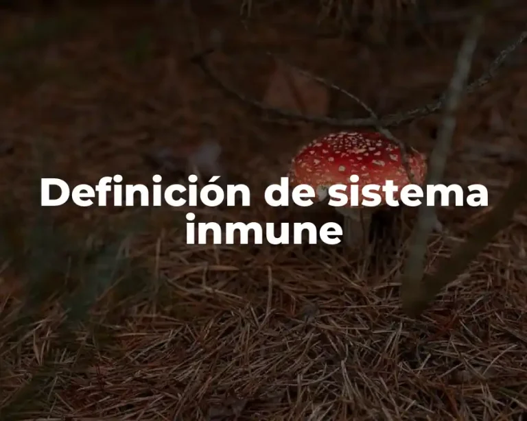 Definición de sistema inmune