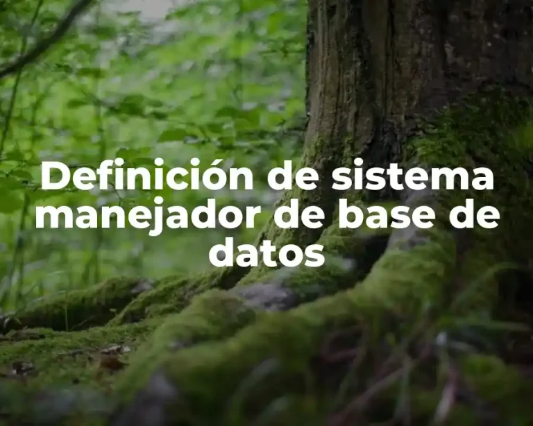 Definición de sistema manejador de base de datos