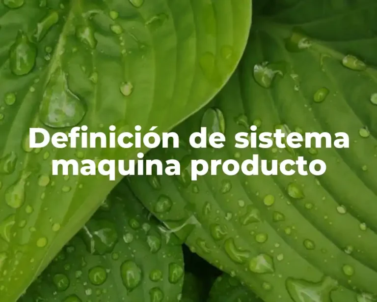 Definición de sistema maquina producto