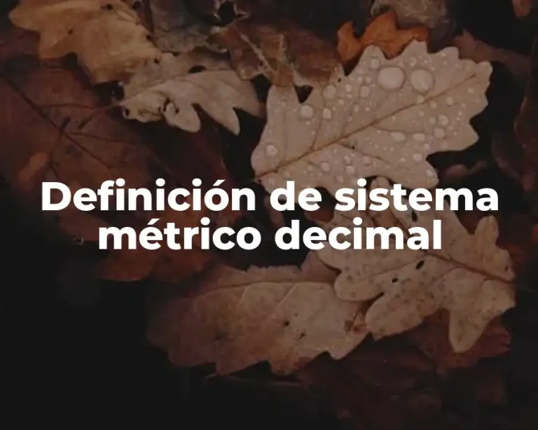 Definición de sistema métrico decimal