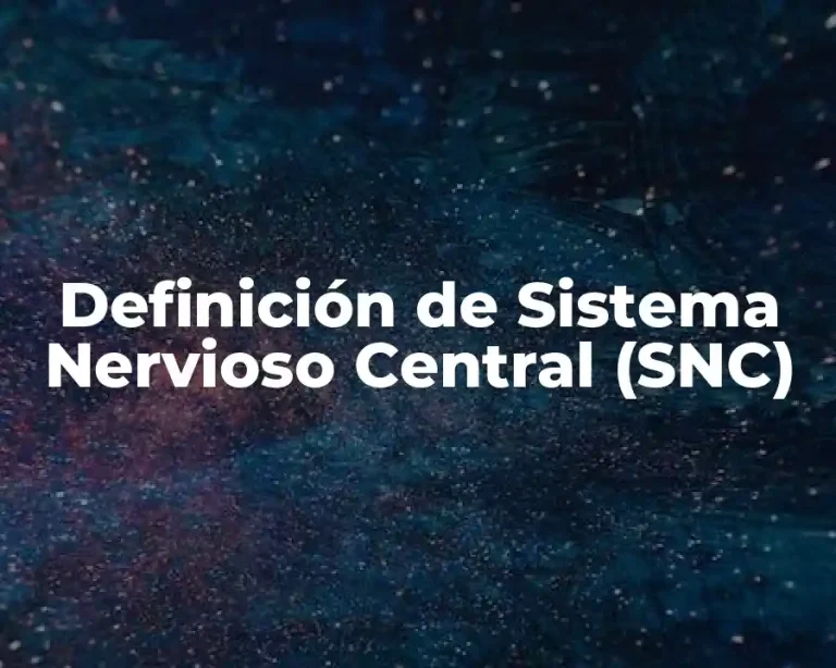 Definición de Sistema Nervioso Central (SNC)