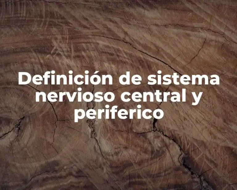 Definición de sistema nervioso central y periferico