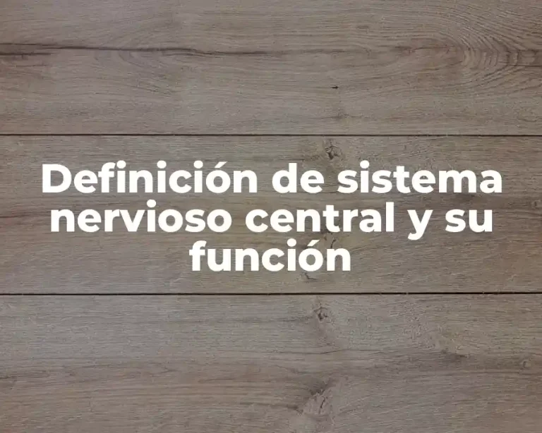 Definición de sistema nervioso central y su función
