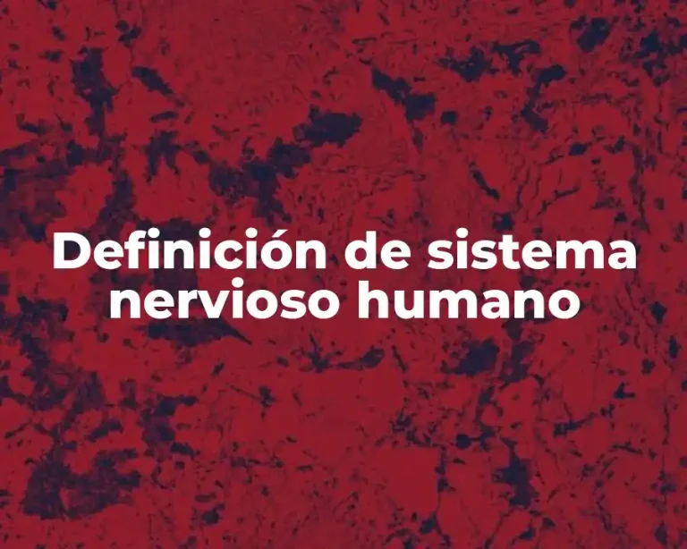 Definición de sistema nervioso humano