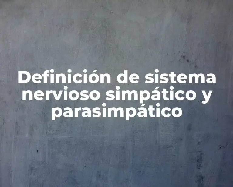 Definición de sistema nervioso simpático y parasimpático
