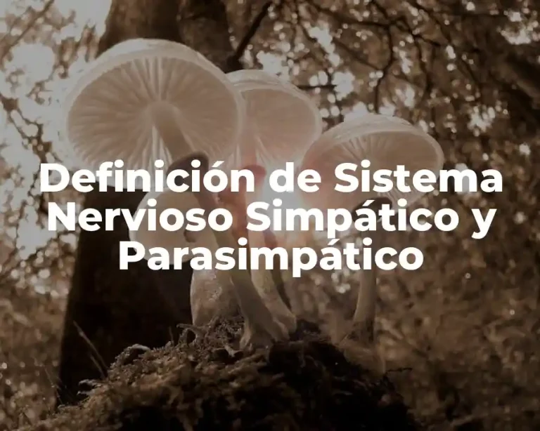 Definición de Sistema Nervioso Simpático y Parasimpático