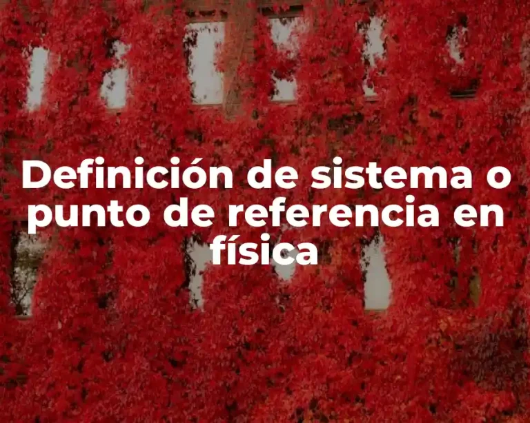 Definición de sistema o punto de referencia en física