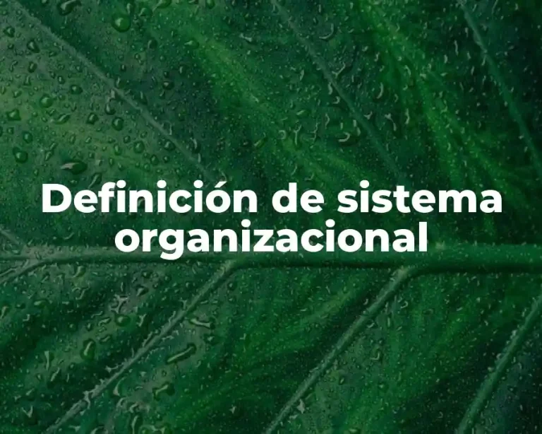 Definición de sistema organizacional