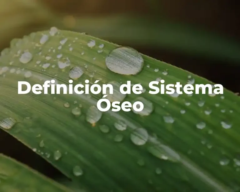 Definición de Sistema Óseo