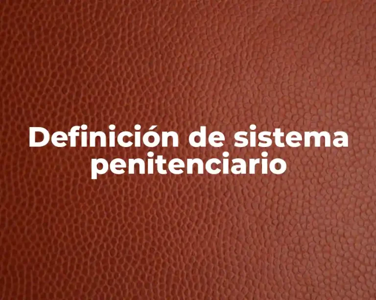 Definición de sistema penitenciario