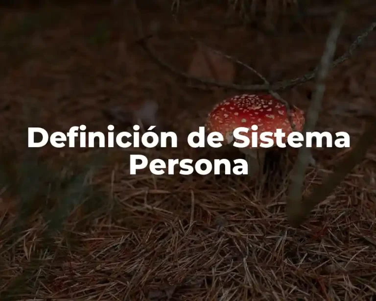Definición de Sistema Persona