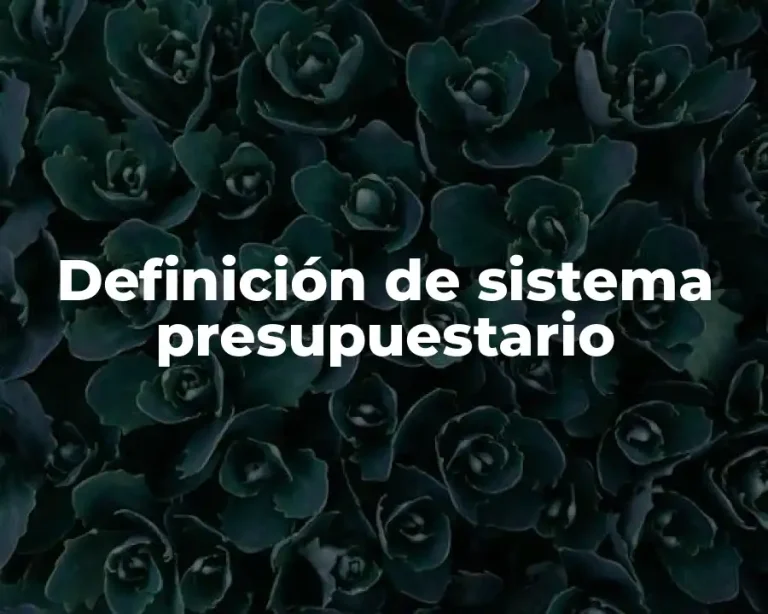 Definición de sistema presupuestario