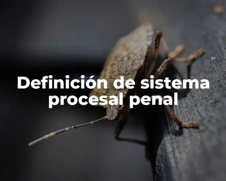 Definición de sistema procesal penal