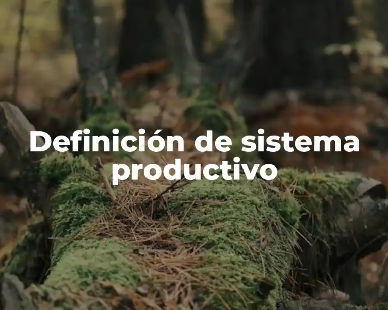 Definición de sistema productivo