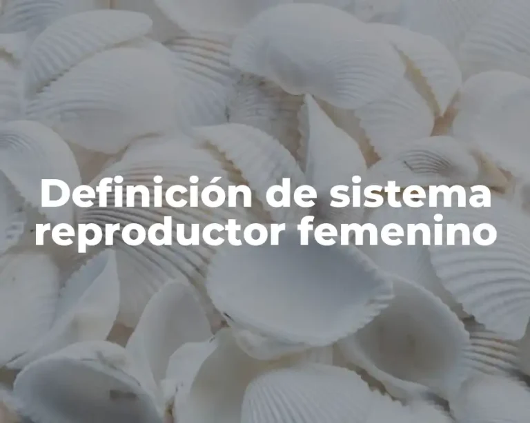 Definición de sistema reproductor femenino