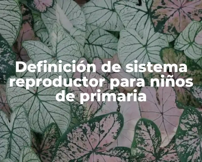 Definición de sistema reproductor para niños de primaria