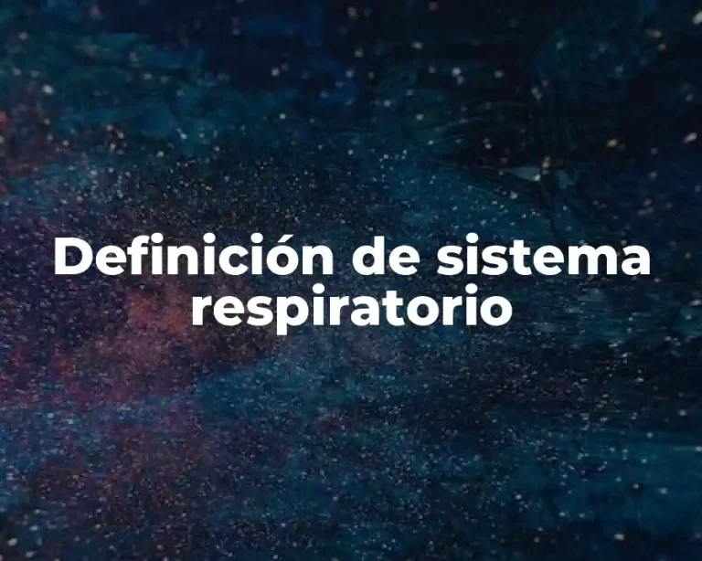 Definición de sistema respiratorio