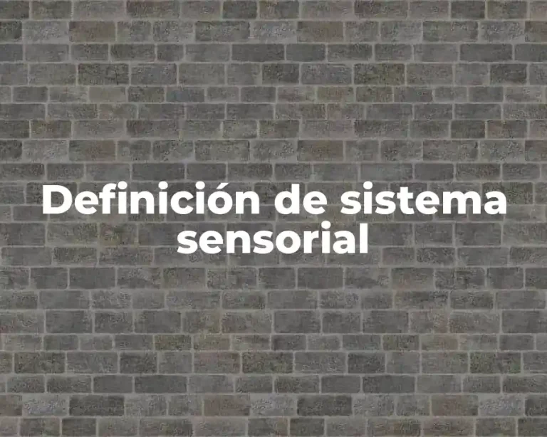 Definición de sistema sensorial