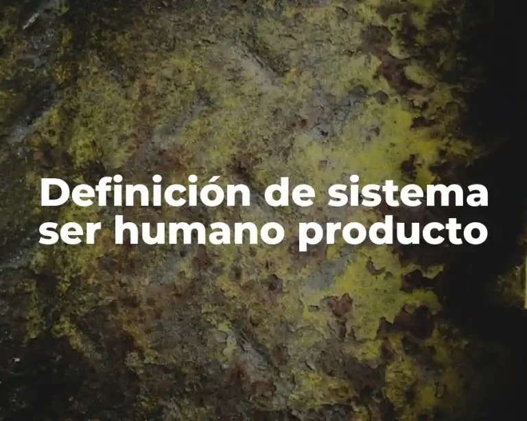 Definición de sistema ser humano producto