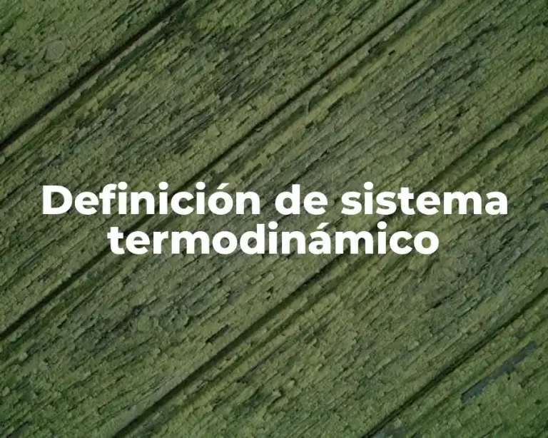 Definición de sistema termodinámico