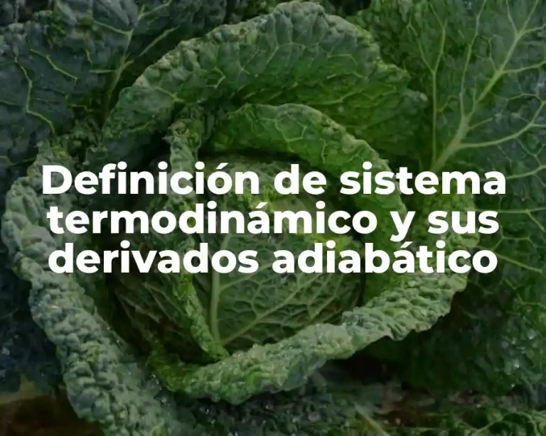 Definición de sistema termodinámico y sus derivados adiabático