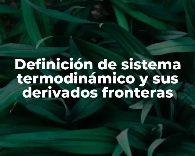 Definición de sistema termodinámico y sus derivados fronteras