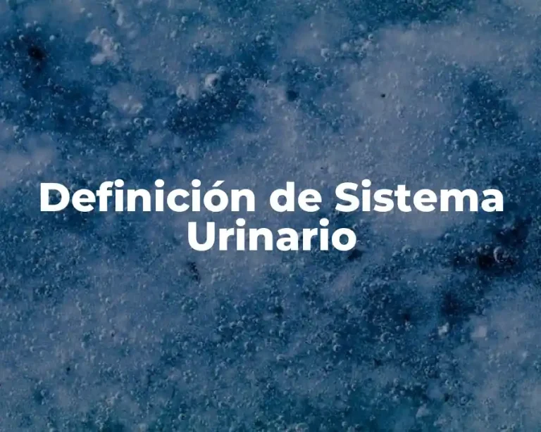 Definición de Sistema Urinario
