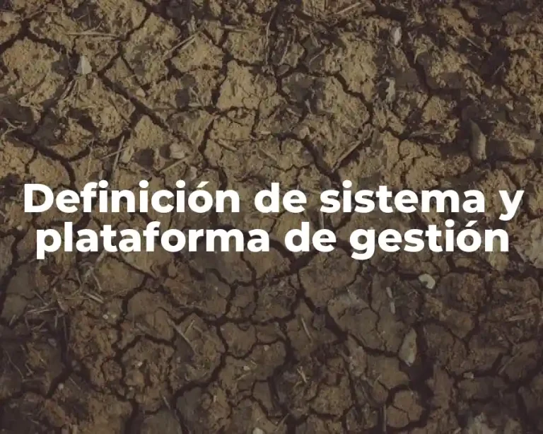 Definición de sistema y plataforma de gestión