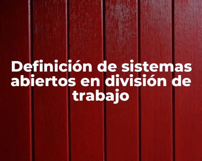 Definición de sistemas abiertos en división de trabajo