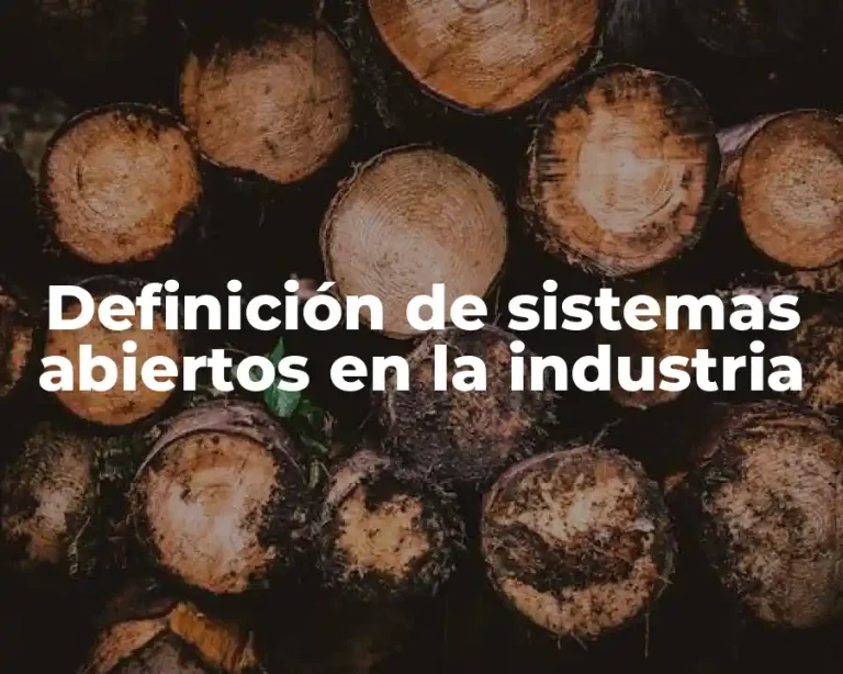 Definición de sistemas abiertos en la industria