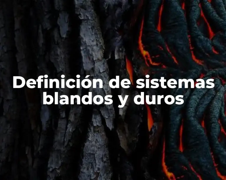 Definición de sistemas blandos y duros