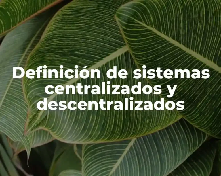 Definición de sistemas centralizados y descentralizados