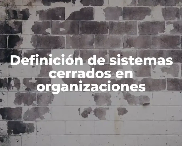 Definición de sistemas cerrados en organizaciones