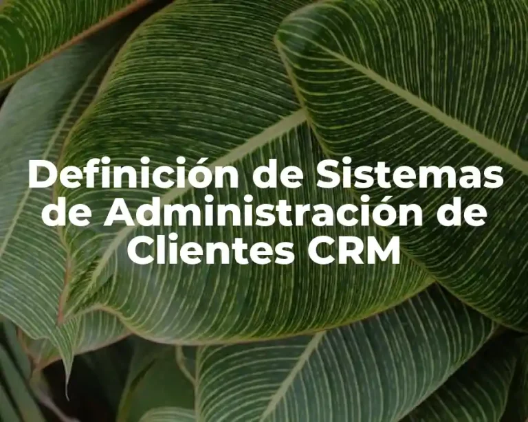 Definición de Sistemas de Administración de Clientes CRM