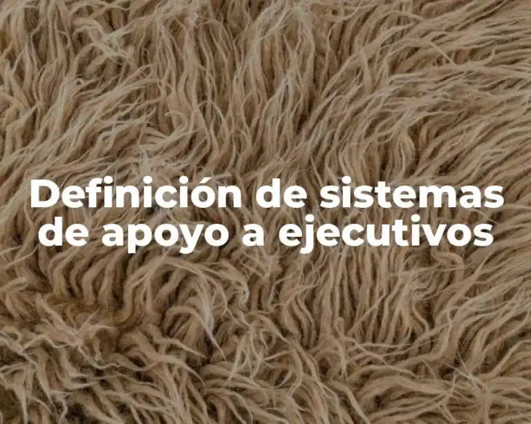 Definición de sistemas de apoyo a ejecutivos