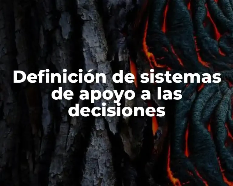 Definición de sistemas de apoyo a las decisiones